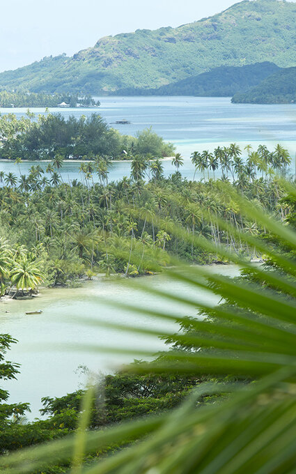 D-0524-Secondary_Secondary_HUAHINE_01375.jpg Air Tahiti Nui Huahine TTourisme